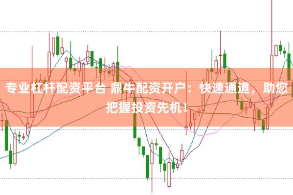 专业杠杆配资平台 鼎牛配资开户：快速通道，助您把握投资先机！