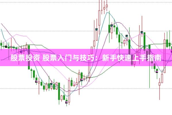 股票投资 股票入门与技巧：新手快速上手指南