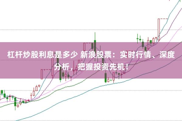 杠杆炒股利息是多少 新浪股票：实时行情、深度分析，把握投资先机！