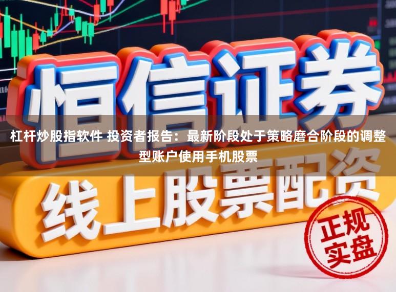 杠杆炒股指软件 投资者报告：最新阶段处于策略磨合阶段的调整型账户使用手机股票