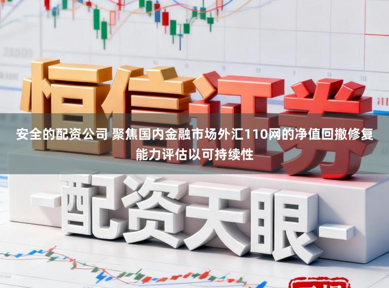 安全的配资公司 聚焦国内金融市场外汇110网的净值回撤修复能力评估以可持续性